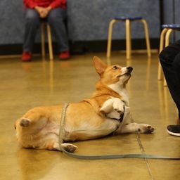 photograph by PeterW